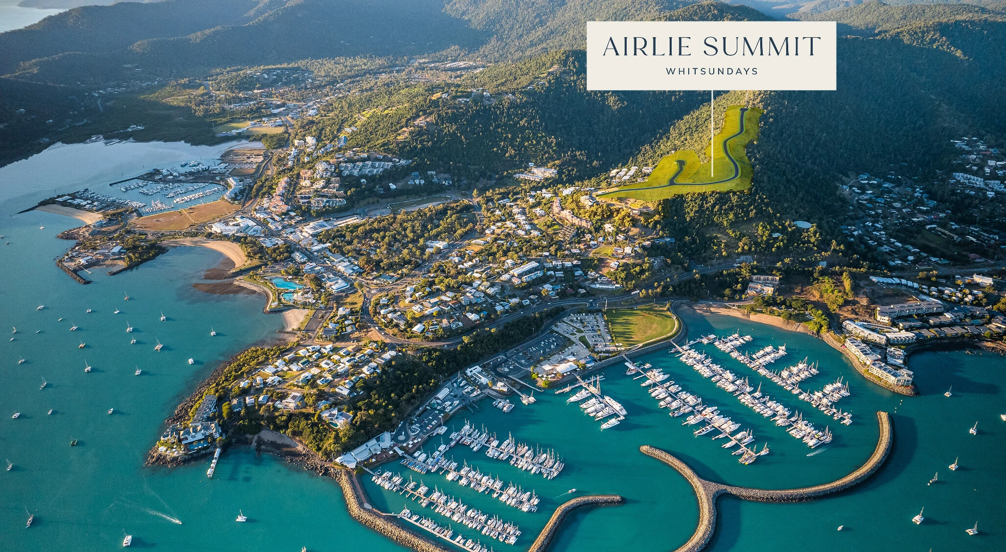 Arlie Summit