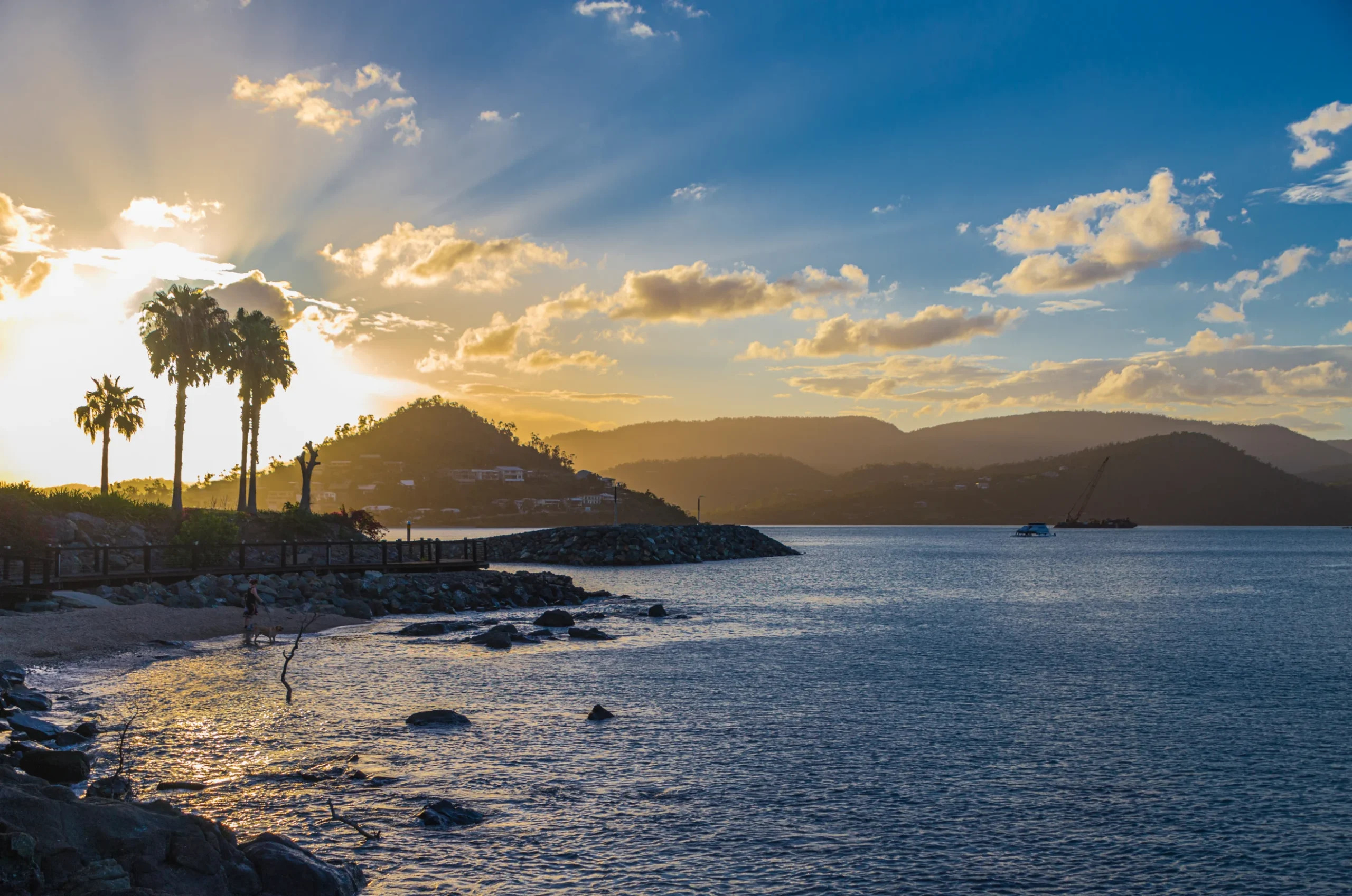 shutterstock_1920163511